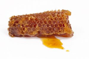piece of honeycomb that is called propolis on a white background
